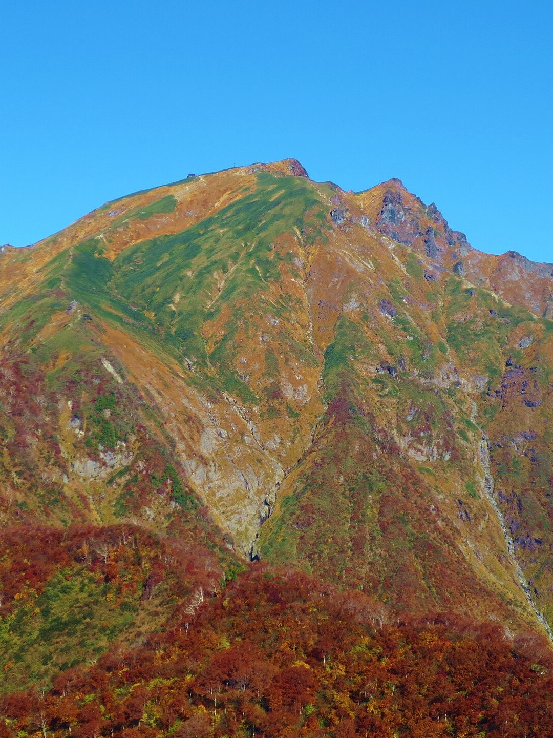 谷川岳 · 坐缆车上天神平再登顶 配图 1