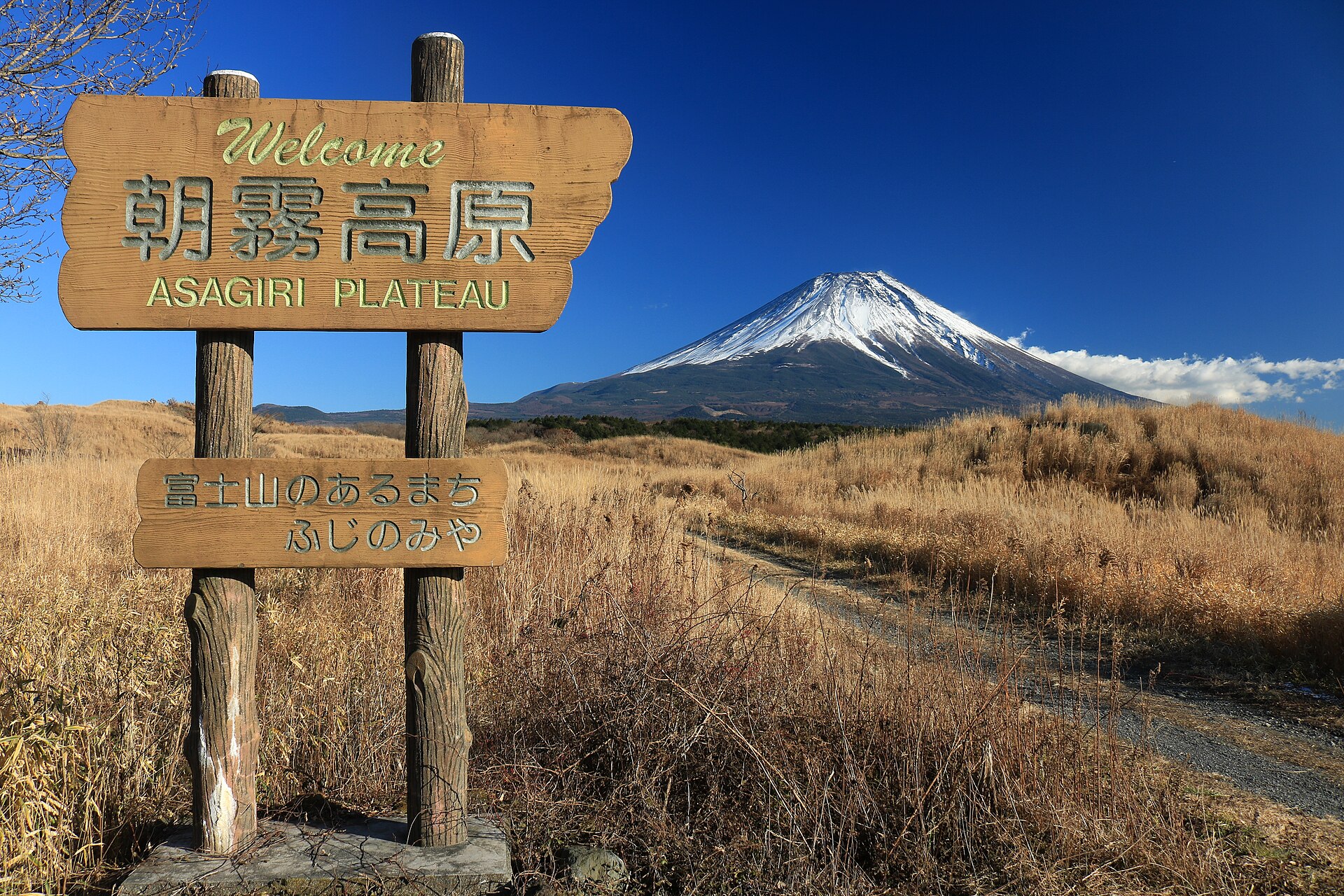 朝雾Jamboree · 富士山前的草原营地 配图 3
