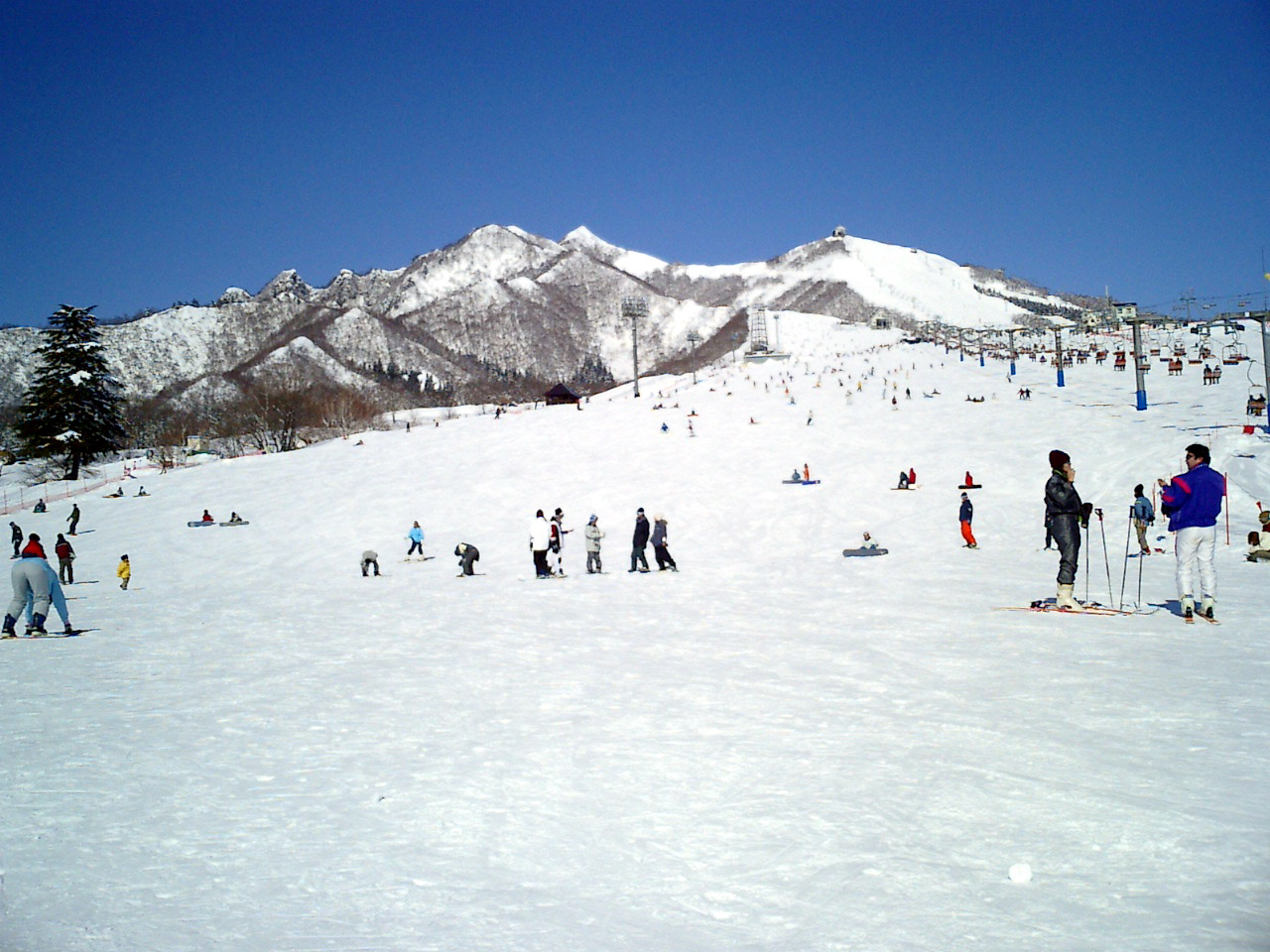 岩原 · 汤泽的宽缓雪道 配图 1
