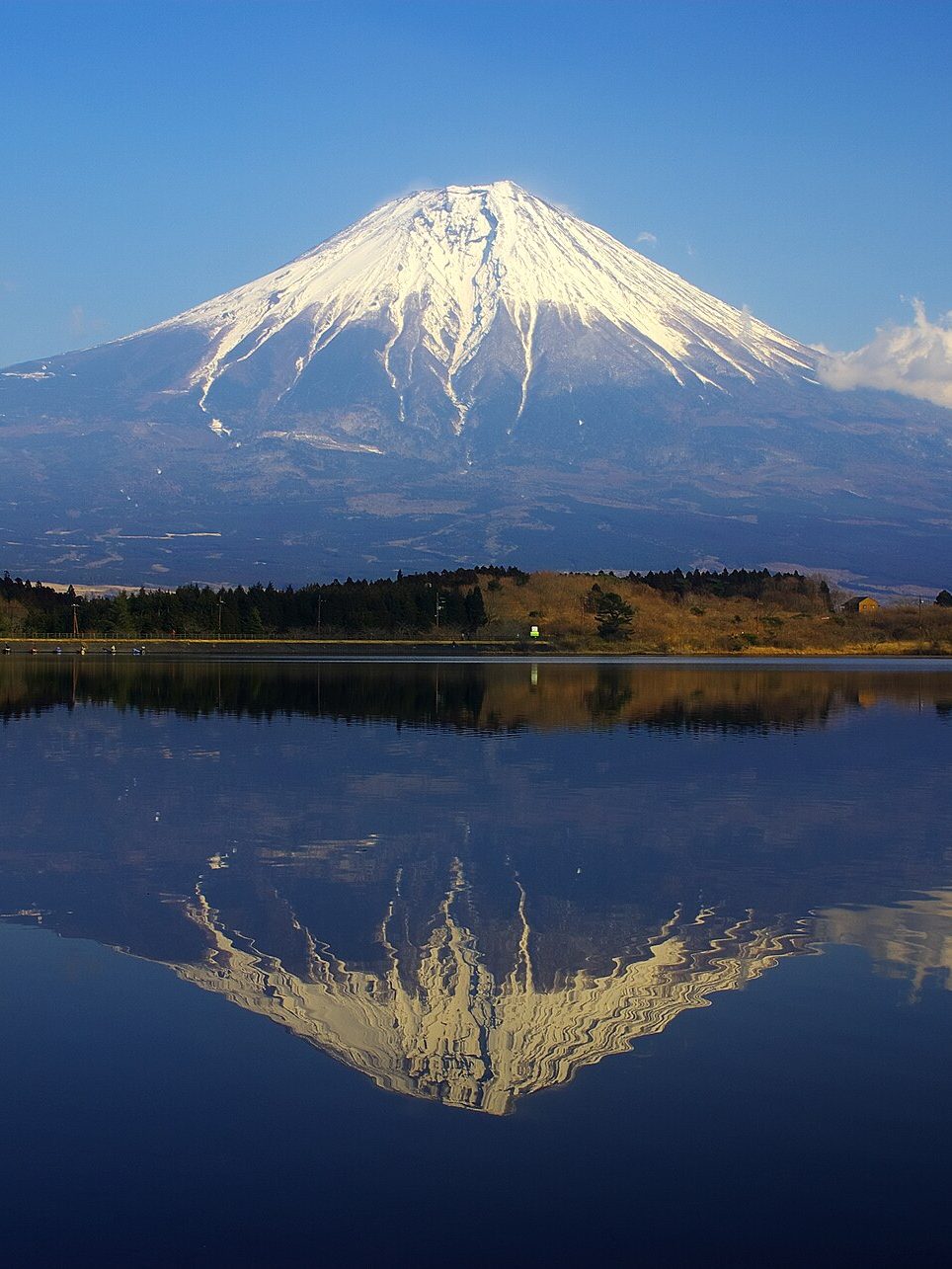 田贯湖 · 钻石富士和湖畔帐篷营地 配图 1