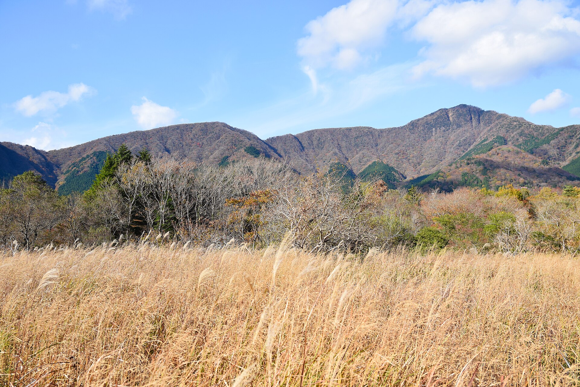 金时山 · 箱根外轮山最高峰看富士 配图 5