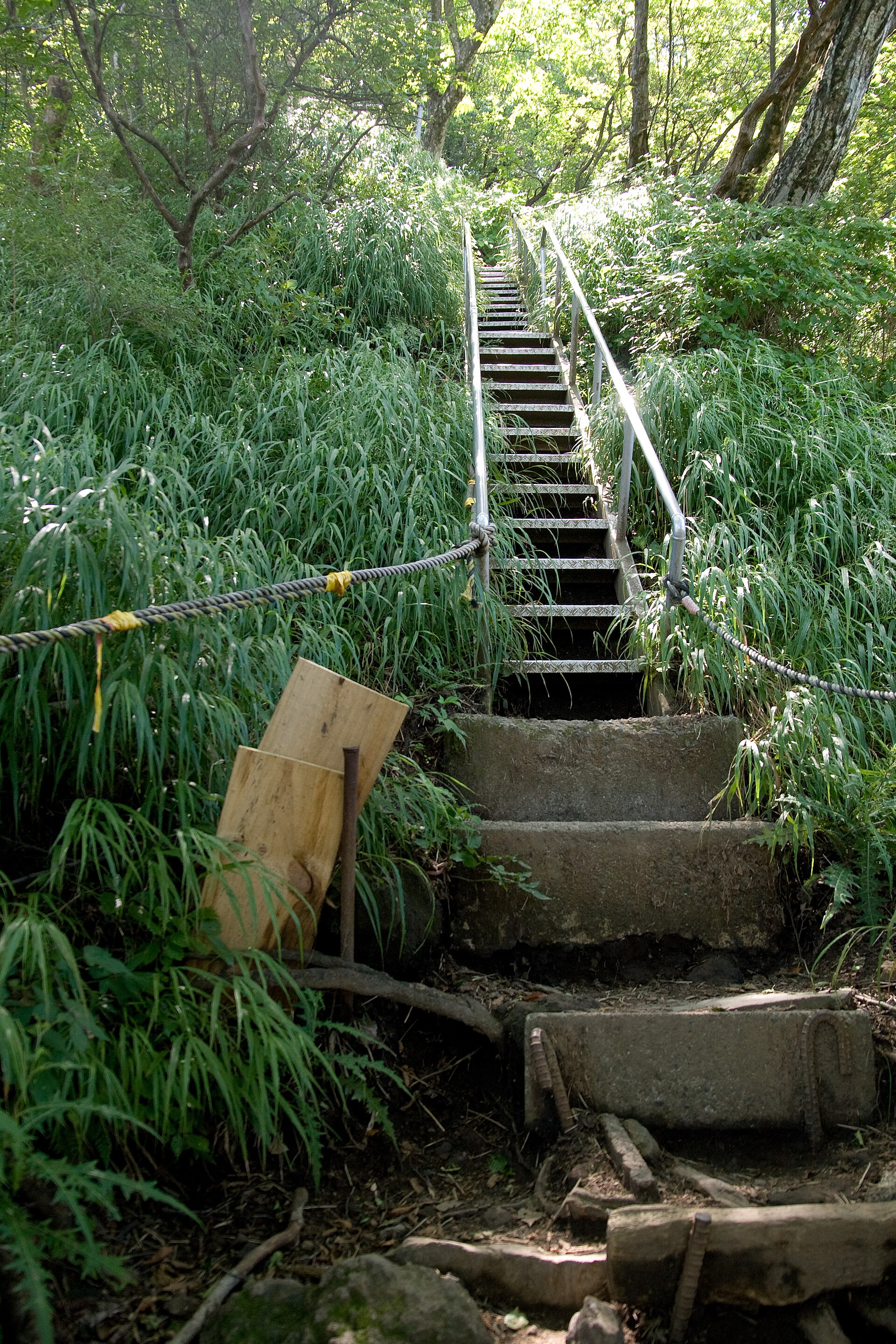 金时山 · 箱根外轮山最高峰看富士 配图 3