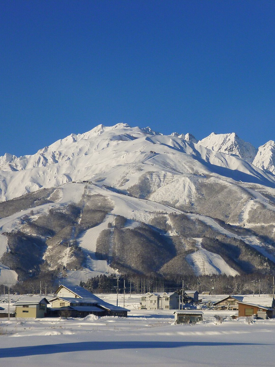 白马 · 十座雪场一张通票 配图 1