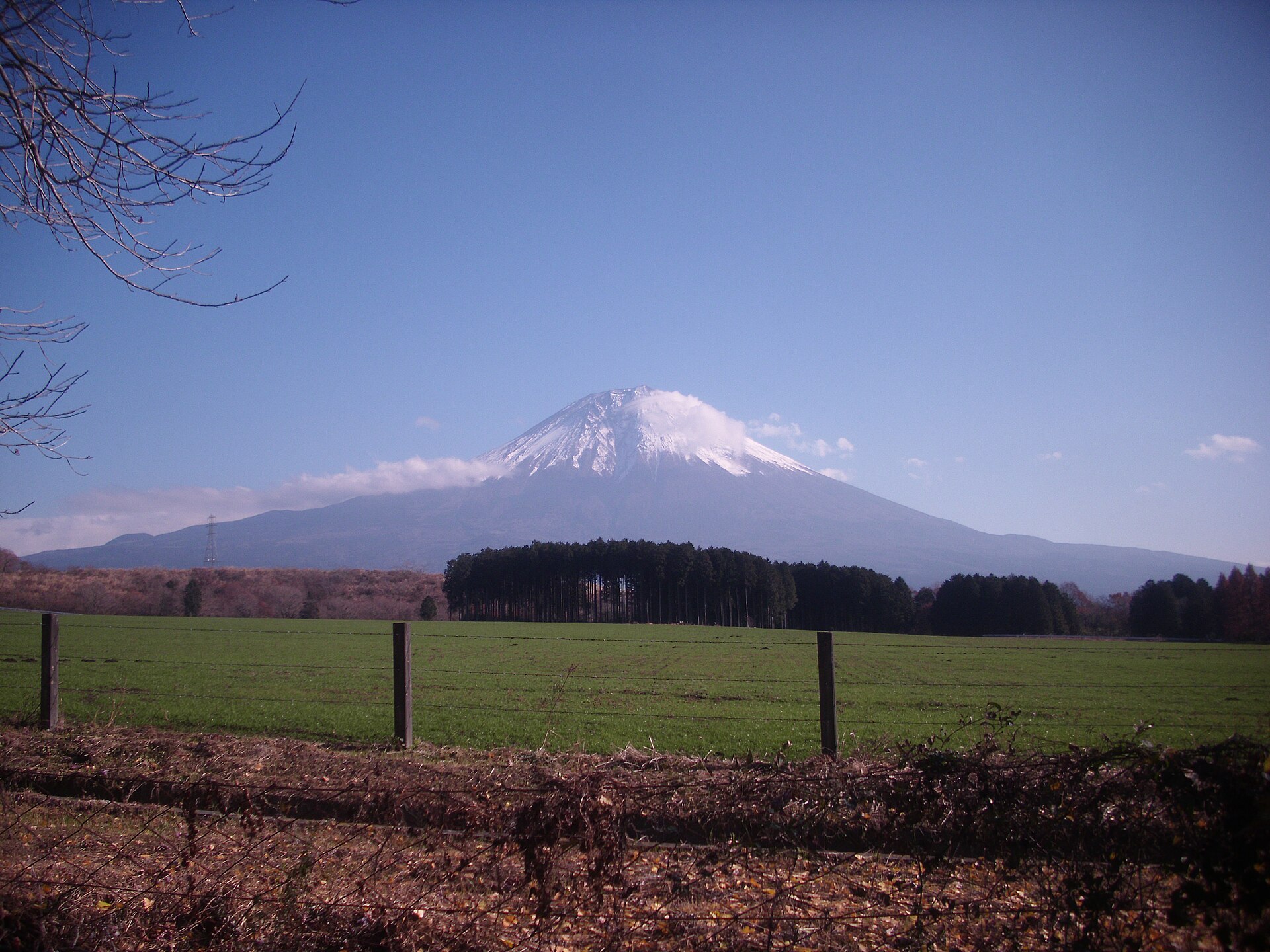 朝雾Jamboree · 富士山前的草原营地 配图 4