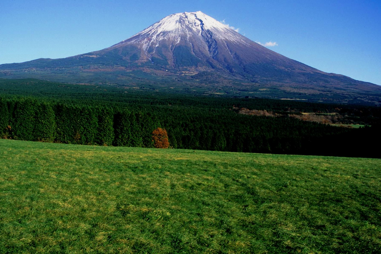 ふもとっぱら · 富士山下的草原营地 配图 2