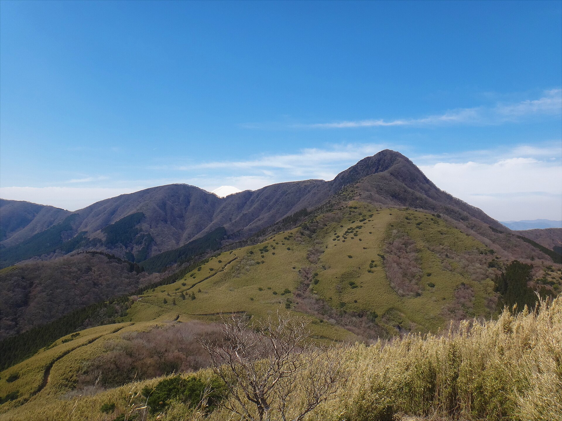 金时山 · 箱根外轮山最高峰看富士 配图 2