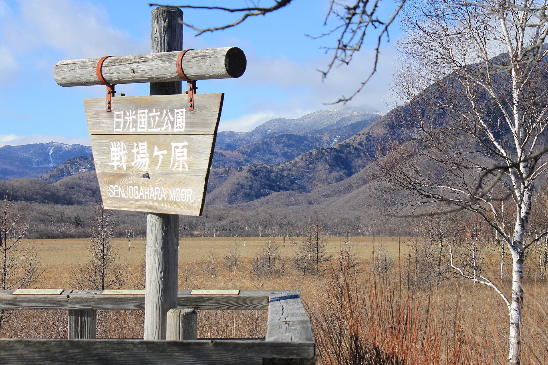 奥日光 · 战场之原湿原徒步 配图 2