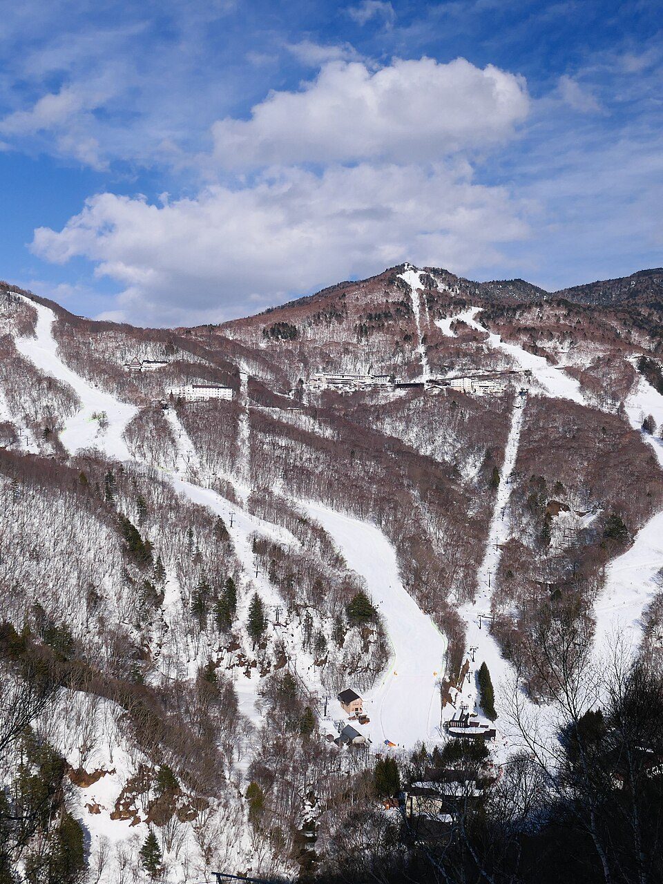 志贺高原 · 18座雪场一张共通券 配图 1